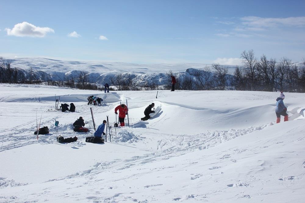 Snølandskap med ti elever som graver i snøen - Klikk for stort bilde