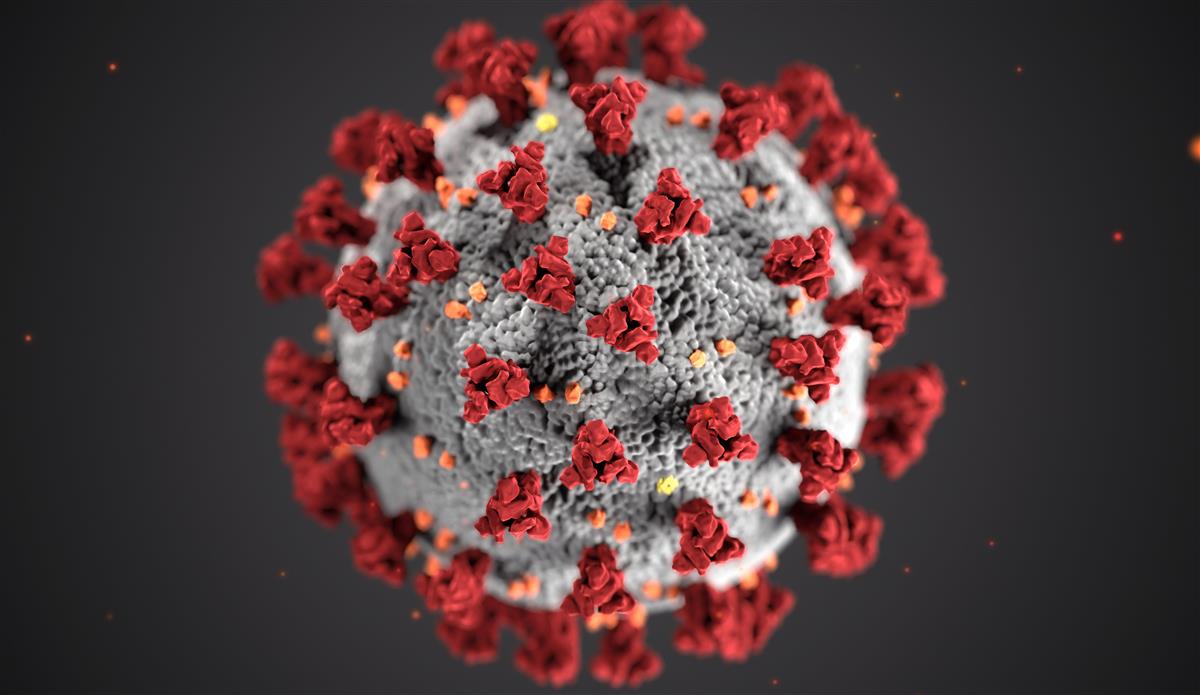 Koronavirus - Klikk for stort bilde