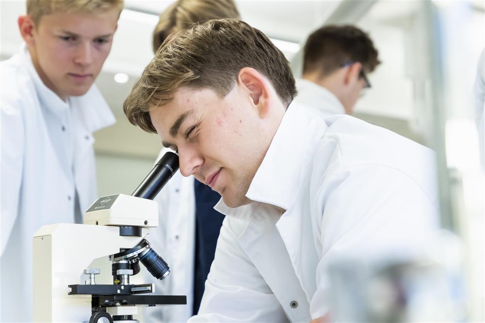 Elever ser i mikroskop - Klikk for stort bilde