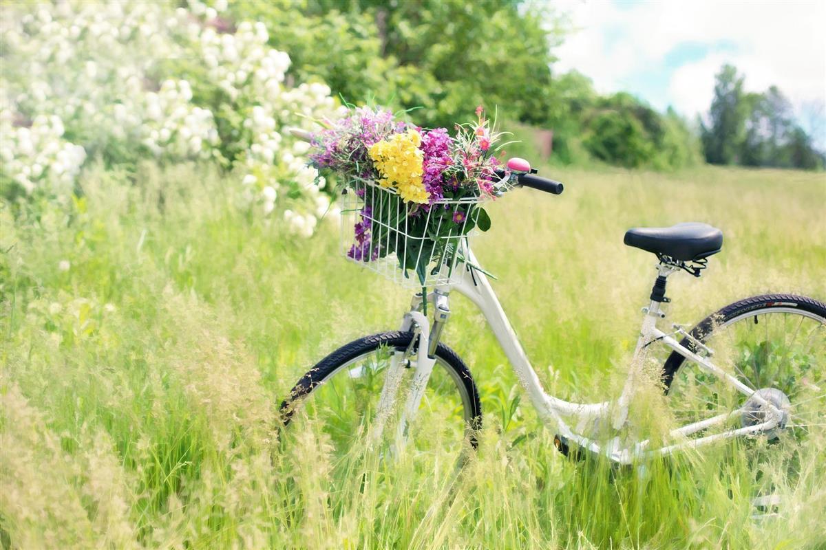 Sykkel med blomster i kurven - Klikk for stort bilde