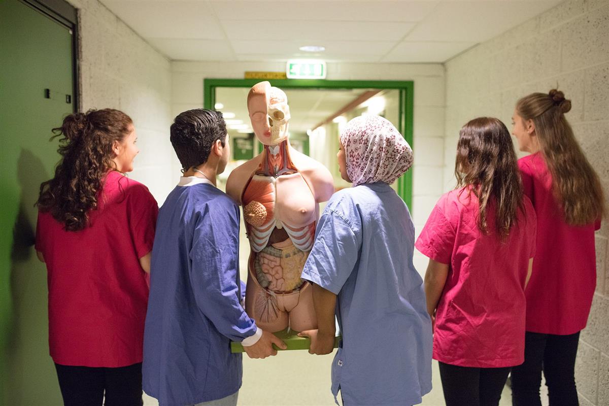 Elever som bærer en torso av en menneskekropp  i plast - Klikk for stort bilde