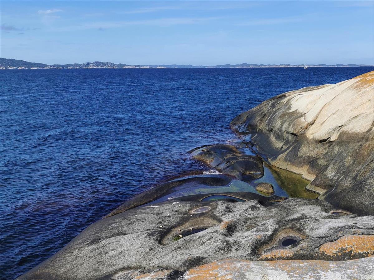 Fjære og hav i Oslofjorden - Klikk for stort bilde