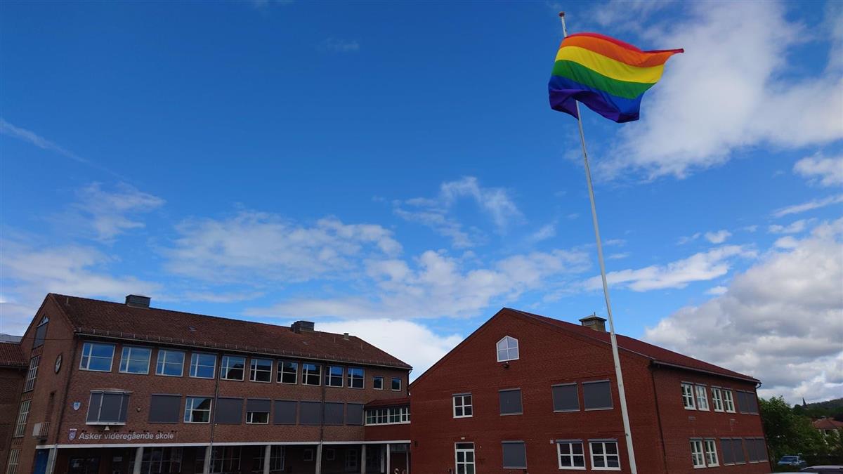 Regnbueflagget foran skolen - Klikk for stort bilde