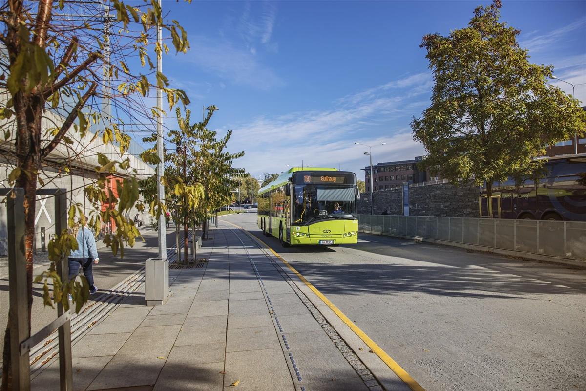 Grønn buss kjører i gate - Klikk for stort bilde
