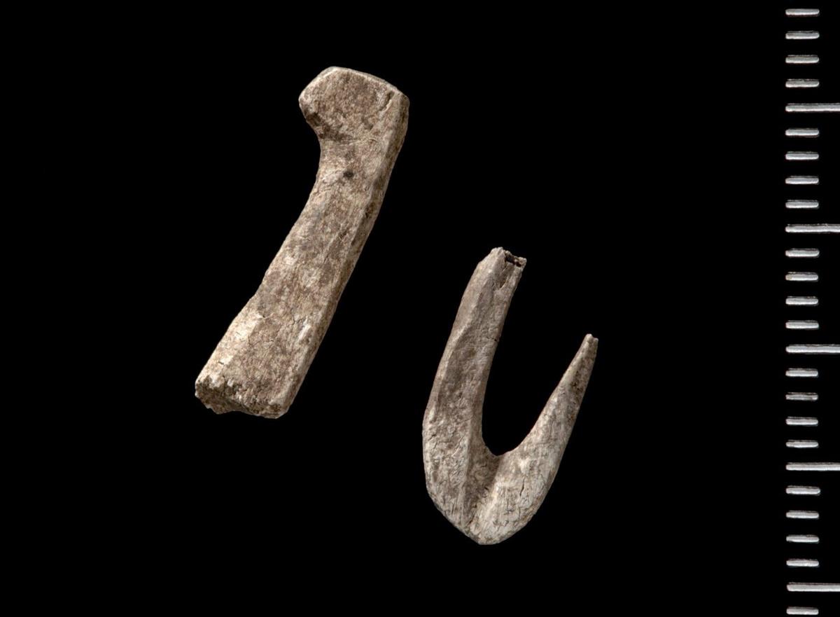 Rundt 8000 år gamle fiskekroker av bein funnet i kjøkkenmøddingen på Skoklefall. - Klikk for stort bilde