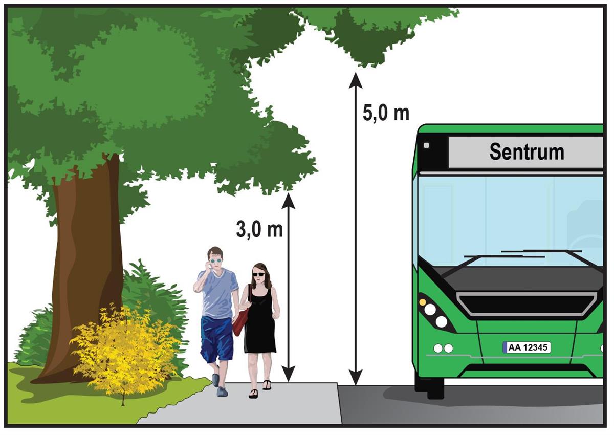 Figur som viser en høy buss og trær ved veien, to personer går på fortauet. Det må være 5 m opp for at bussen skal passere på en god måte, og det må tilsvarende være 3 m høyde for gående - Klikk for stort bilde
