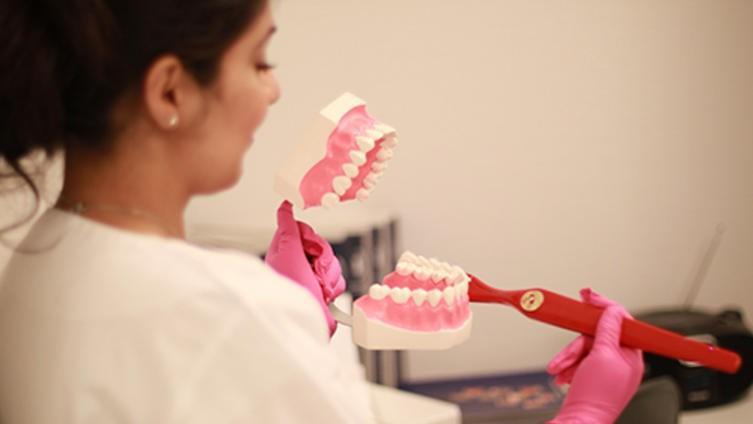 En tannhelsesekretærstudent Illustrerer pussing av tenner - Klikk for stort bilde