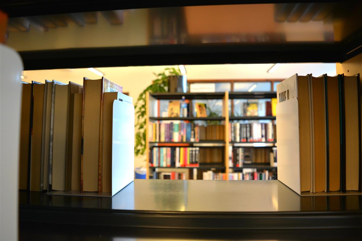 Bøker i bokhylle - Klikk for stort bilde