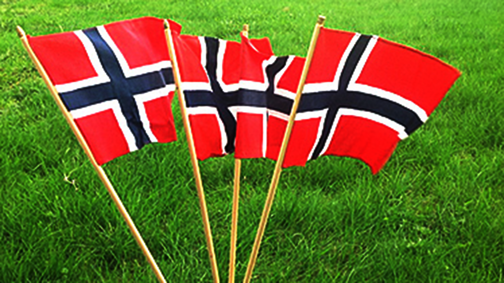 Fire norske flagg står på en grønn gressplen - Klikk for stort bilde